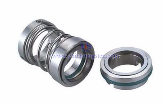 Silicon Carbide Spring Seals Picture